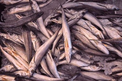 Full frame shot of fish for sale in market