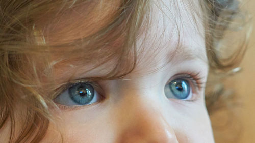 Cropped image of girl eyes