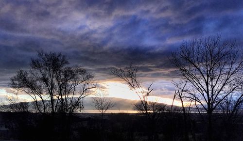 Silhouette of trees against dramatic sky