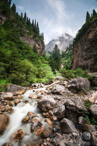 Stream flowing through rocks in forest