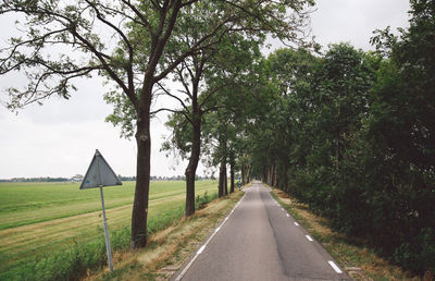 Empty country road along trees