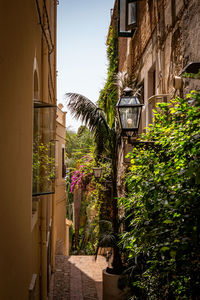 Pathway, alley with brick wall and stucco. view of plants between the buildings