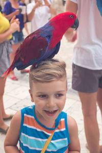 Portrait of boy and birds on land