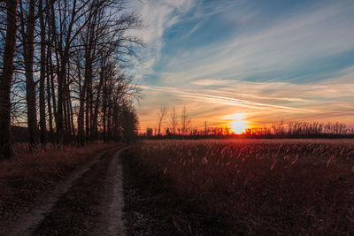 Dirt road amidst trees on field against sky at sunset