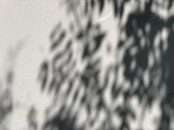 Full frame shot of shadow on wall