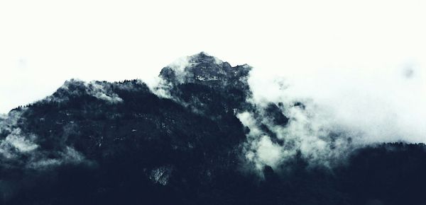 Scenic view of trees against sky