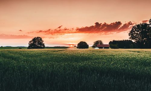 Scenic view of field against cloudy sky