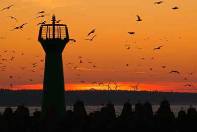 Silhouette birds against sky during sunset