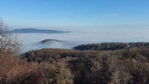 Scenic view of landscape against clear sky