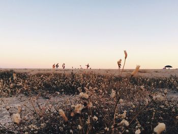 People on land against clear sky