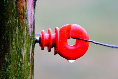 Close-up of red object on wall