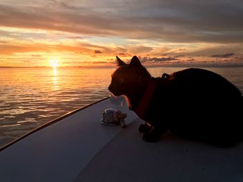 Scenic view of sea during sunset