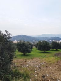 Scenic view of field and mountains against sky