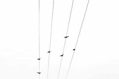 Low angle view of power lines