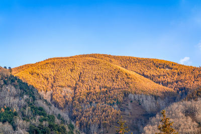 Scenic view of mountains against clear blue sky