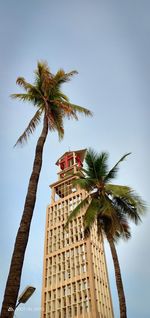 Low angle view of coconut palm tree against sky