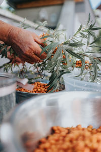 Cropped hand of person preparing food