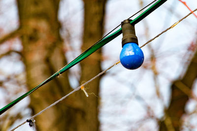 Fairy lights with light bulb outdoors