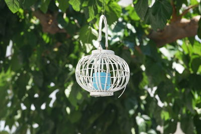 Close-up of decoration hanging on tree