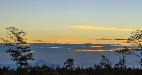 Scenic view of silhouette trees against sky during sunset