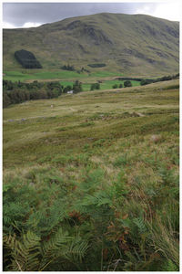 Scenic view of field and mountains