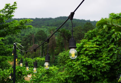 Light bulbs decoration hanging on a rooftop in background of trees