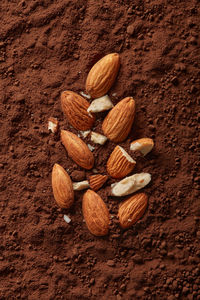 Almonds on cocoa background viewed from above. top view