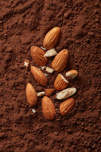 High angle view of almonds on rock
