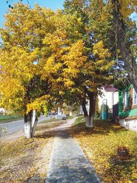 Empty road along trees during autumn