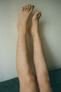 human leg