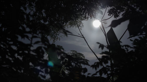 Low angle view of silhouette trees against sky at night