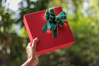 Cropped hand of woman holding red christmas present
