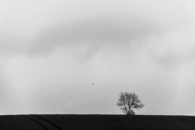 Bare tree on field against sky