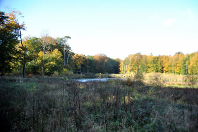 Scenic view of landscape against clear sky