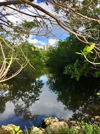 Reflection of trees in lake against sky