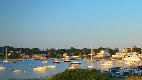 Boats in harbor