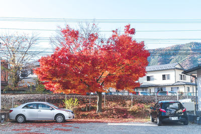 Trees by road against sky during autumn