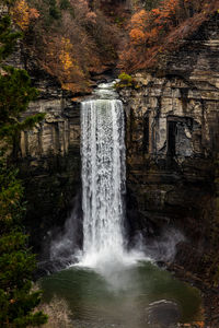 Scenic view of waterfall in forest