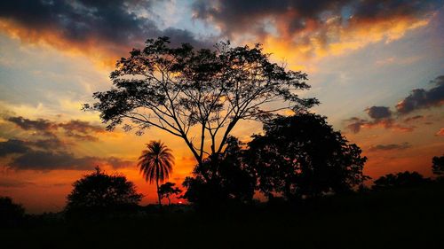 Silhouette trees against dramatic sky during sunset
