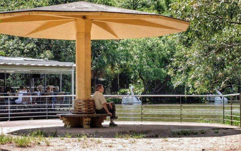 tree, sitting, outdoors, one animal, full length, one person, day, adults only, adult, animal themes, one man only, relaxation, people, only men, nature, beauty in nature, mammal, young adult