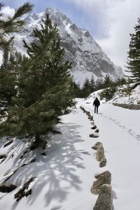 Rear view of person on snowcapped mountain