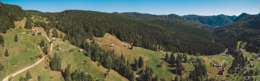 Panoramic shot of trees on landscape against sky