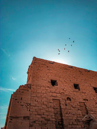 Low angle view of birds flying against sky