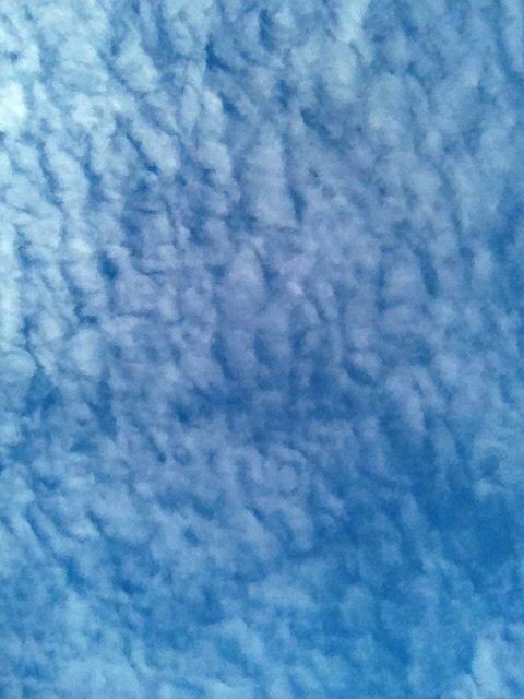 low angle view, sky, cloud - sky, sky only, backgrounds, beauty in nature, full frame, blue, tranquility, cloudy, scenics, nature, cloudscape, tranquil scene, cloud, idyllic, white color, weather, outdoors, day