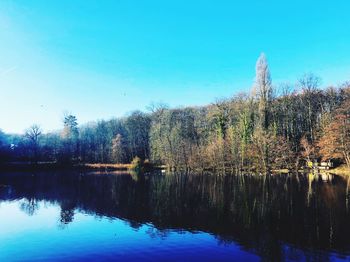 Reflection of trees in lake against blue sky