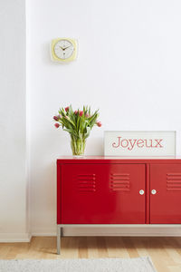 Red potted plant on wall