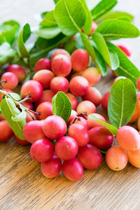 Close-up of grapes