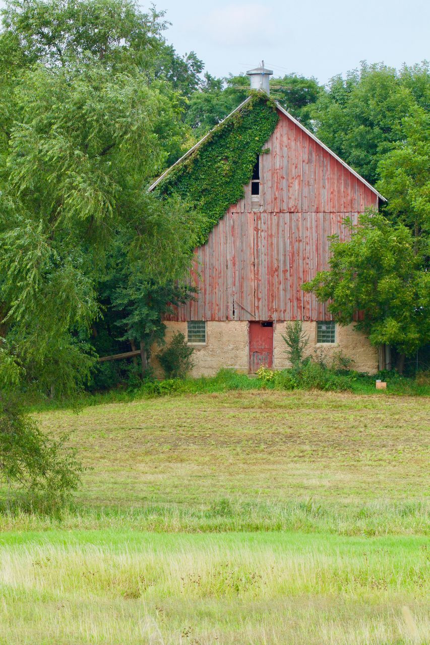 HOUSE ON FIELD AGAINST TREES AND HOUSES