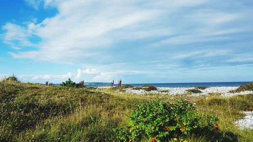 Scenic view of sea against sky