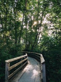 Footbridge amidst trees in forest